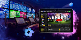 Understanding Lions Bet Your Guide to Smart Gaming