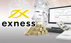 Unlocking Success Exploring Exness Educational Resources