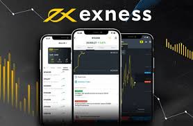Unlocking Success Exploring Exness Educational Resources