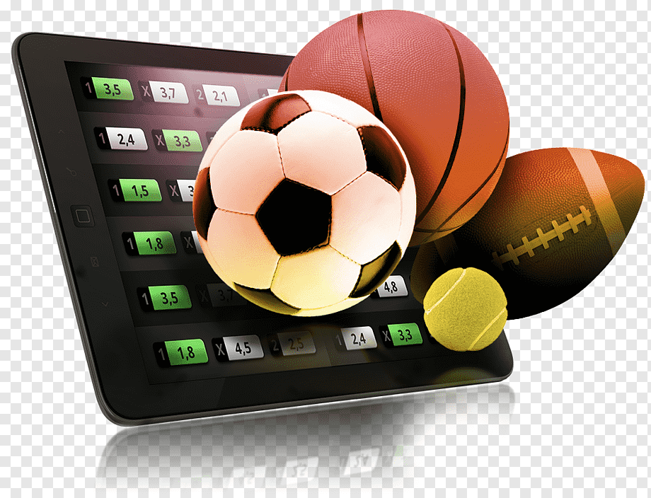 Fast Bet Settlement Times How They Impact Your Betting Experience