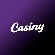 Everything You Need to Know About Casiny Login